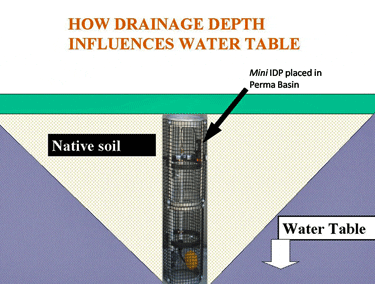 Drainage Depth and the Mini IDP