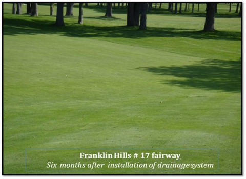 Franklin Hills 17 Fairway